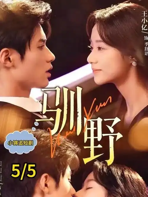 大唐狄公案 电视剧海报